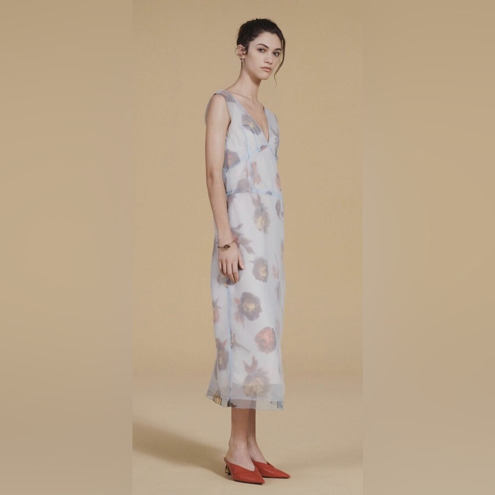 Zara Floral Sheer Dress - White and Blue
